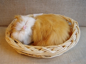 Billede af Sovende kat i kurv gylden