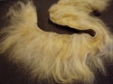 Billede af Langhåret pelsskind gylden